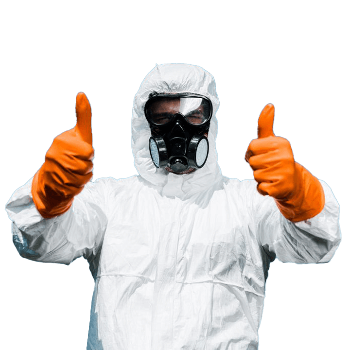 Best Pest Control Services in Hyderabad | RB Pest Control